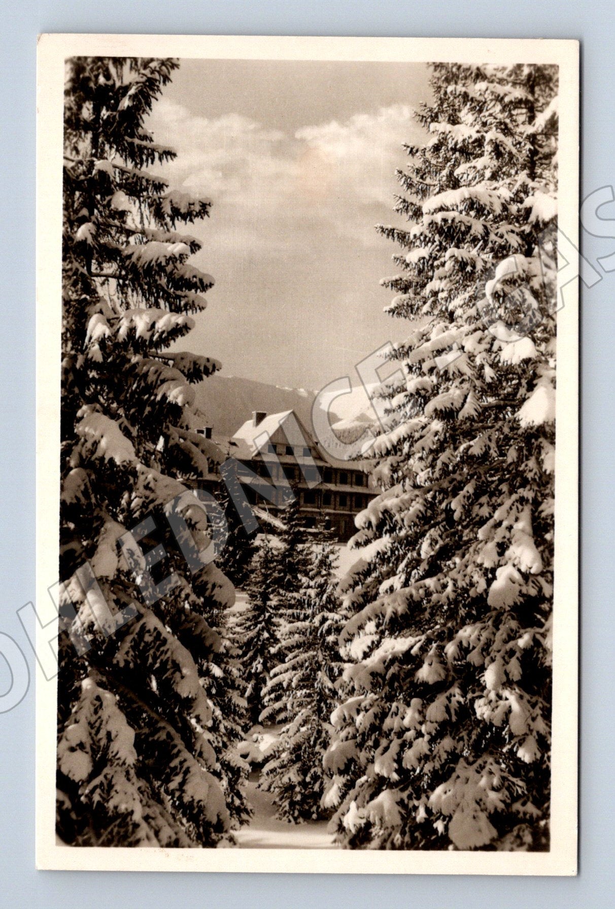 Pohlednice Vrbické pleso Nízké Tatry zimní (M7153)