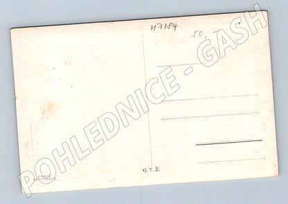 Pohlednice Žilina stará pravá fotografie (M7184)