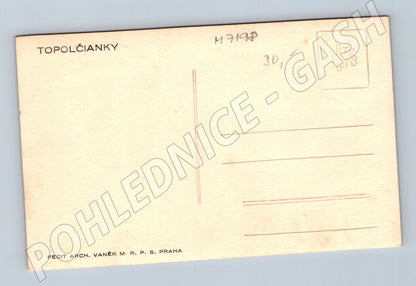 Pohlednice Topoľčianky starý pohled (M7198)
