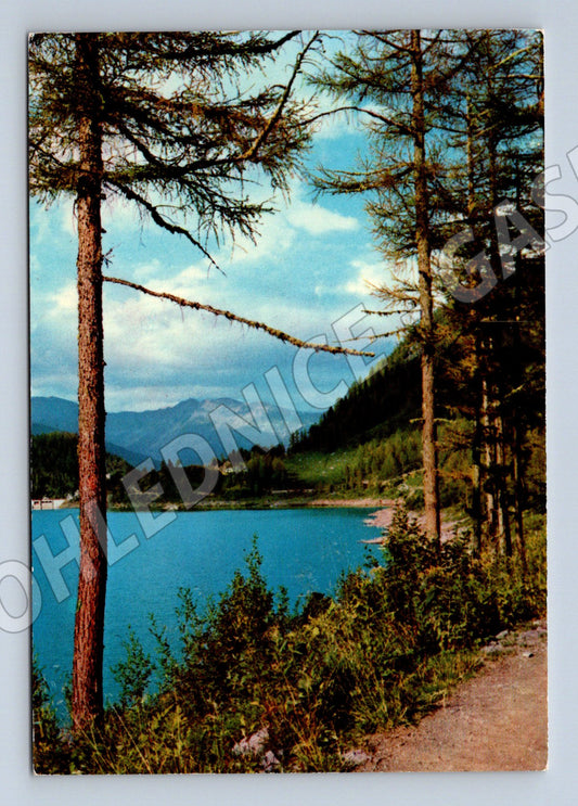 Pohlednice jezero a les Československo (M7206)