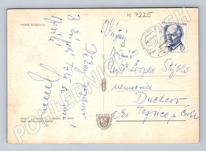 Pohlednice Vyšné Ružbachy lázně (M7225)