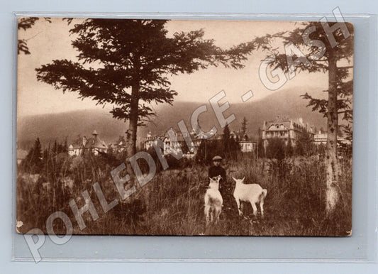 Pohlednice chlapec s kozami Krkonoše sepia (M7255)