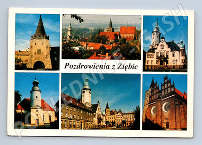 Pohlednice Ziębice památky odeslaná 1996 (M7267)