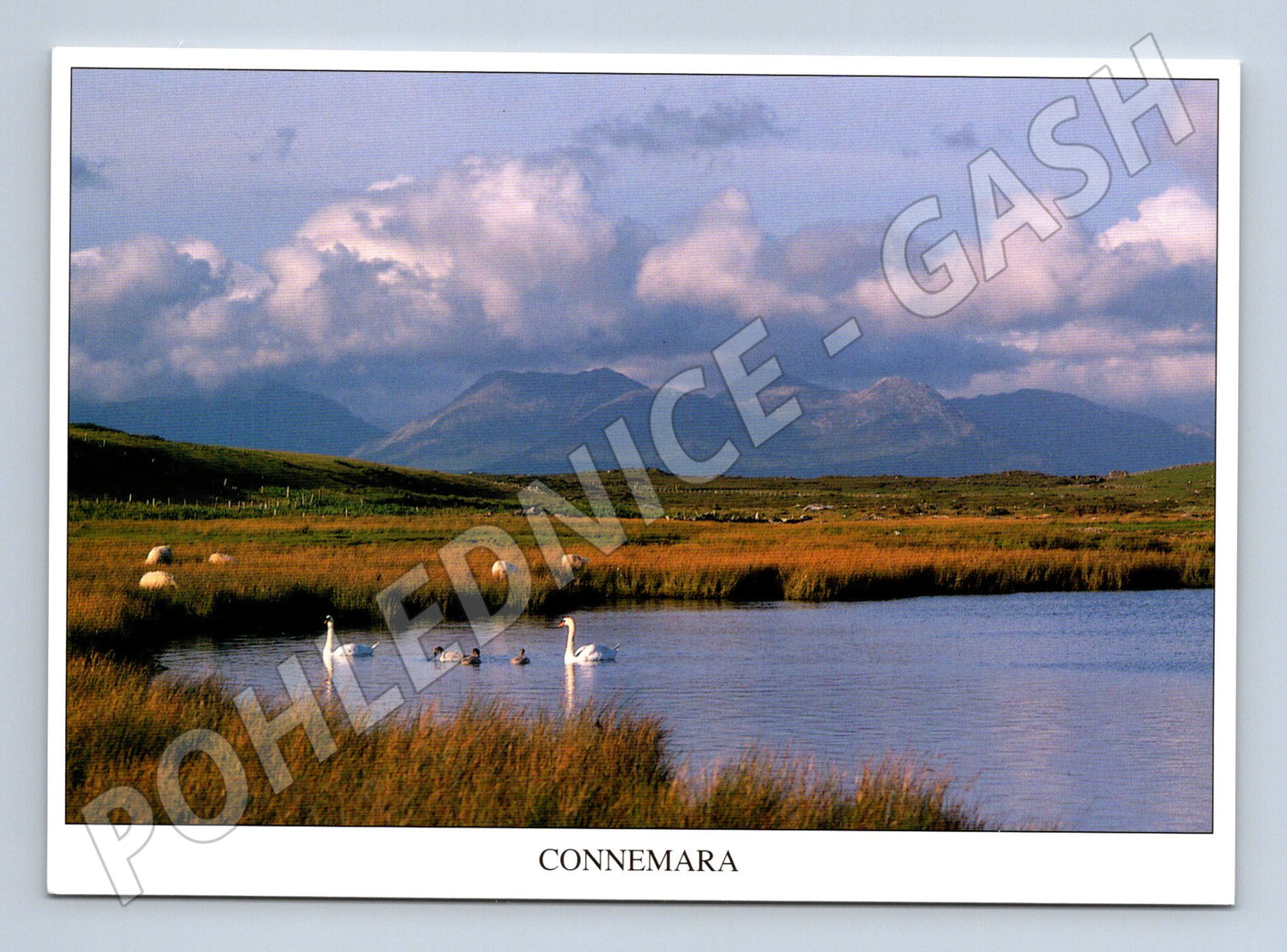 Pohlednice Irsko Connemara Twelve Bens (M7286)