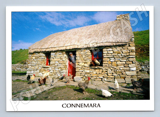 Pohlednice Connemara Dan O Hara cottage (M7287)