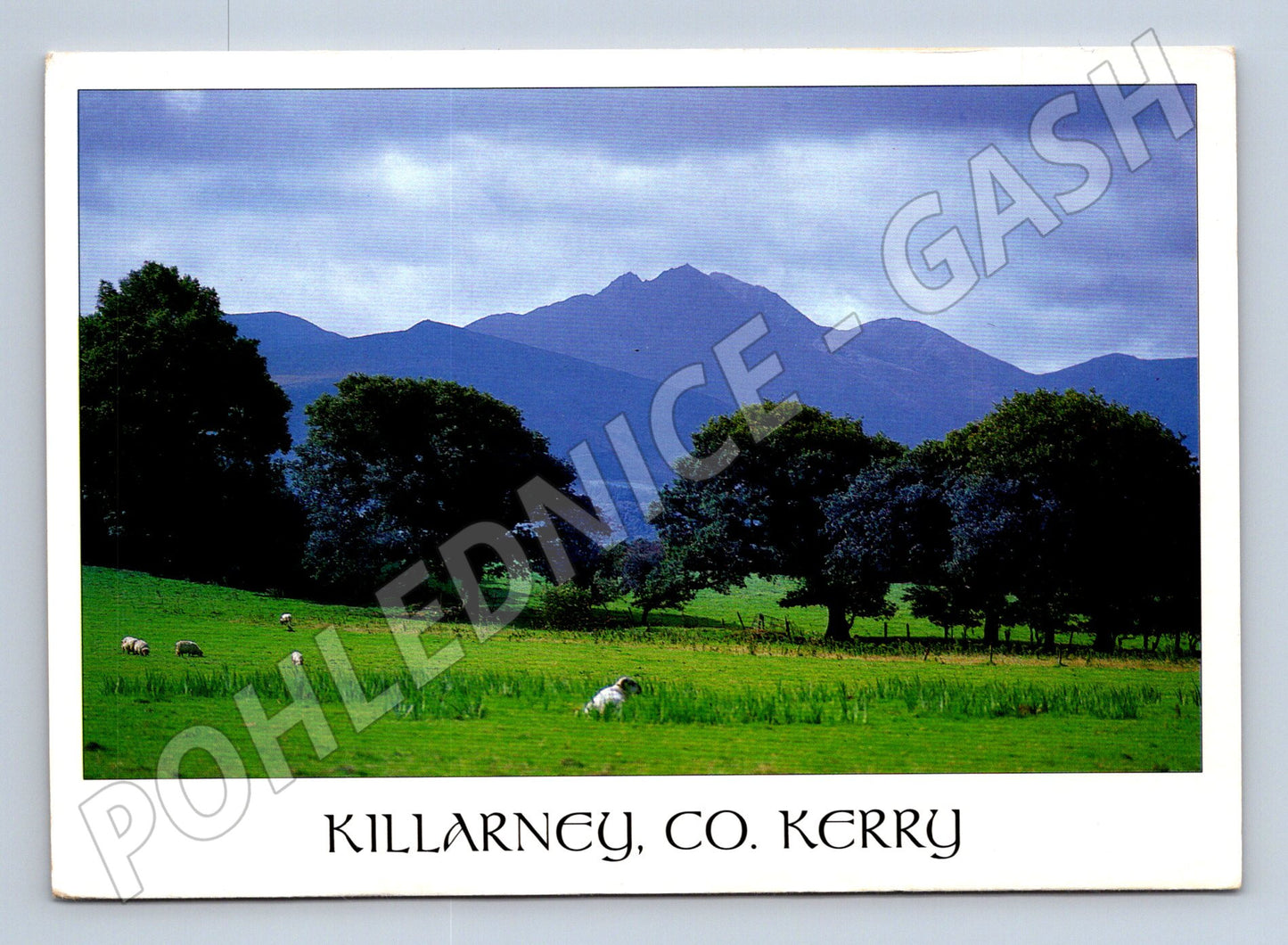 Pohlednice Killarney jezera a hory (M7295)