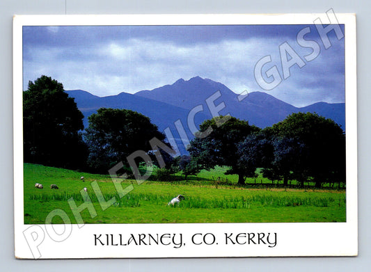 Pohlednice Killarney jezera a hory (M7295)