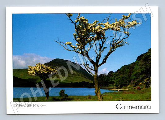 Pohlednice Connemara Kylemore Lough (M7300)