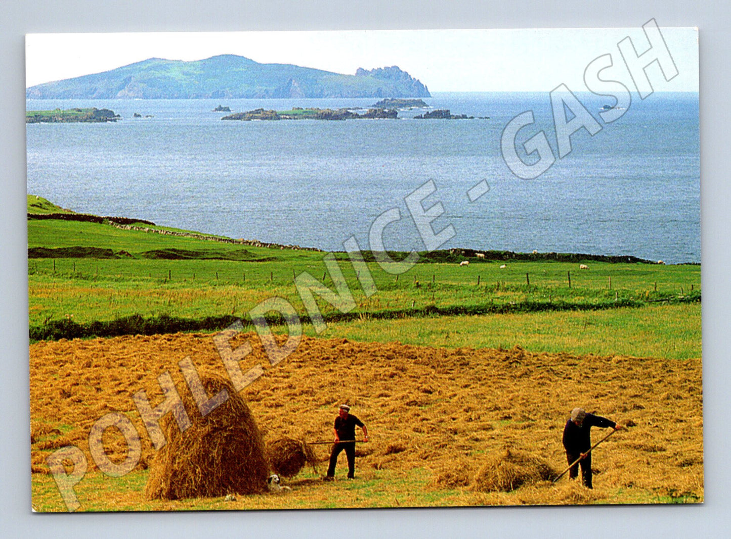 Pohlednice Irsko Senoseč Dingle Blaskets (M7310)