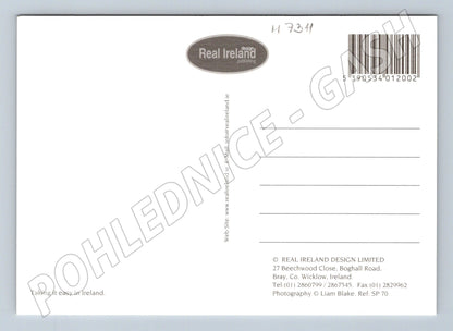 Pohlednice Rush Hour Ireland krávy na silnici (M7311)