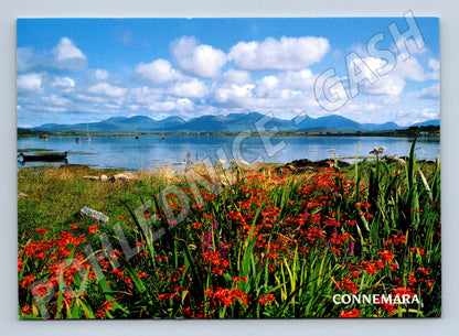 Pohlednice Connemara The Twelve Bens Irsko (M7315)
