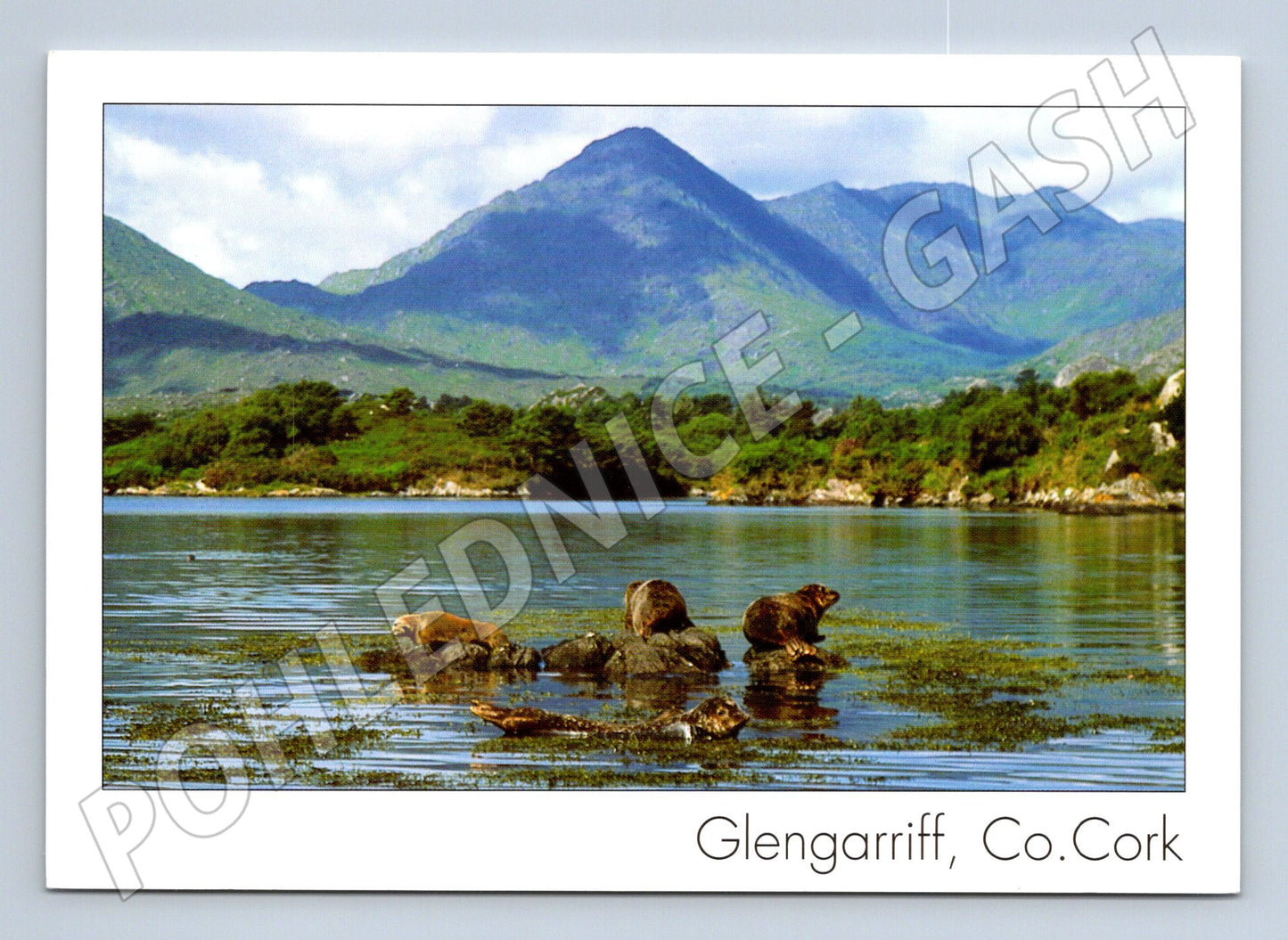 Pohlednice Glengarriff Co Cork Irsko krajina (M7317)