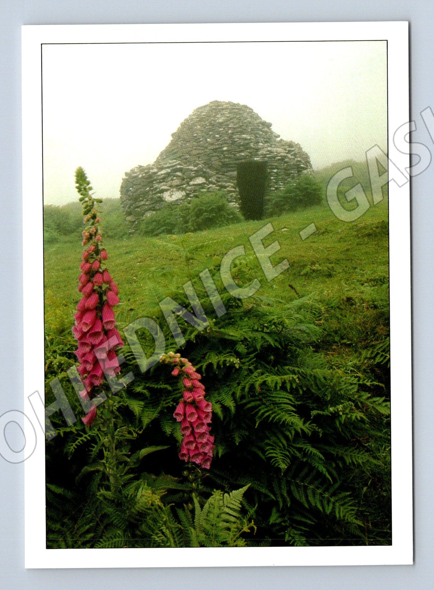 Pohlednice Irsko Beehive Hut Slea Head Dingle (M7320)
