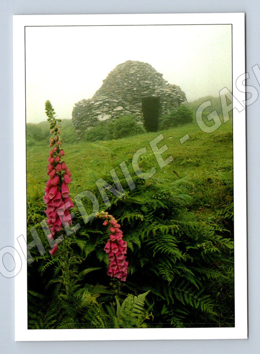 Pohlednice Irsko Beehive Hut Slea Head Dingle (M7320)