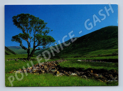 Pohlednice Upper Glen Clunie Skotsko krajina (M7328)