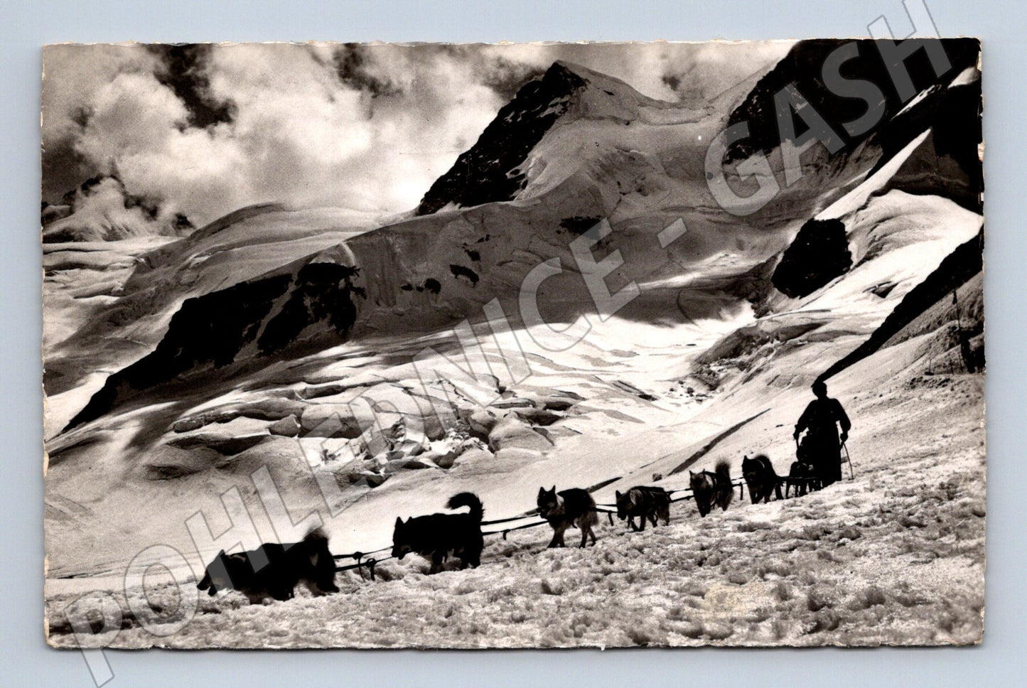 Pohlednice Jungfraujoch 3454 m psi se saněmi (M7340)