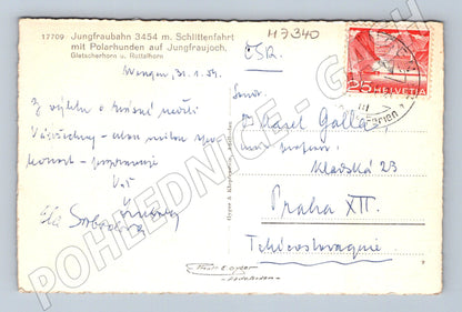 Pohlednice Jungfraujoch 3454 m psi se saněmi (M7340)