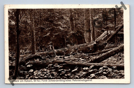 Pohlednice přírodní rezervace Kuban 1914 (M735)