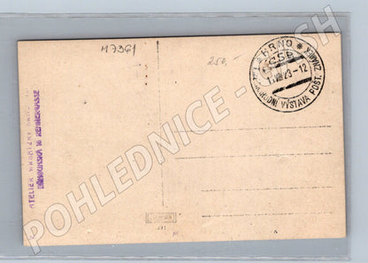 Postcard Philatelic Exhibition Brno 1923 (M7361)