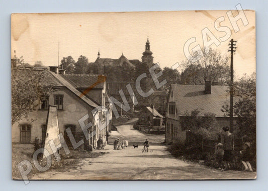 Pohlednice Smržovka čb 1951 (M7366)