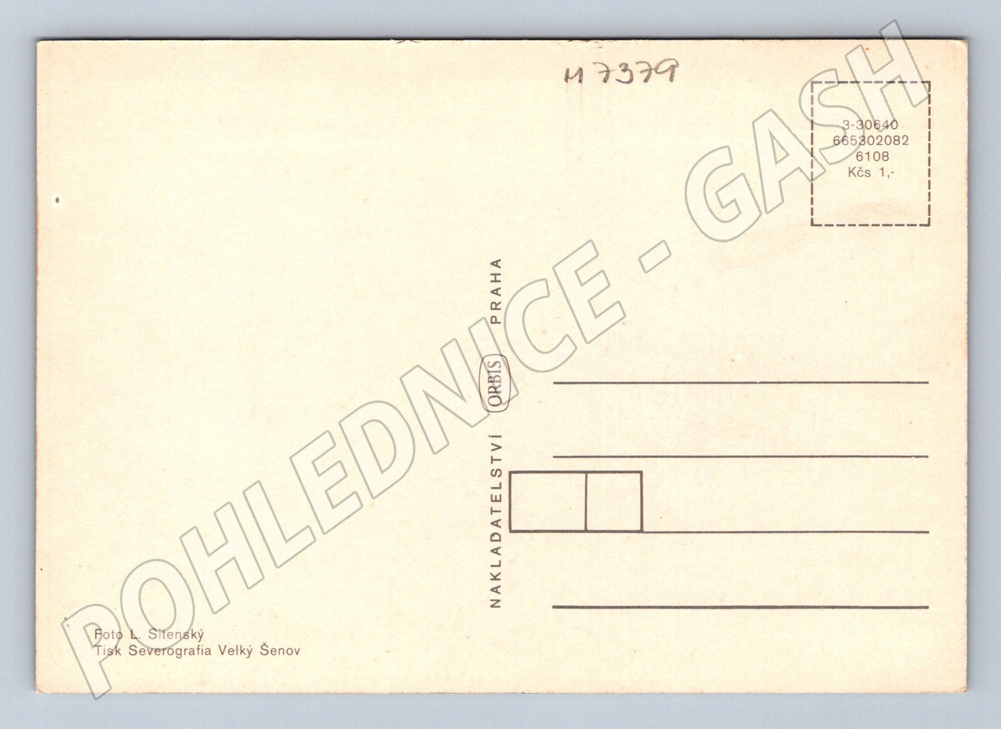 Pohlednice česká krajina u vody žluté květy (M7379)