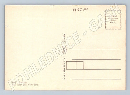 Pohlednice česká krajina u vody žluté květy (M7379)
