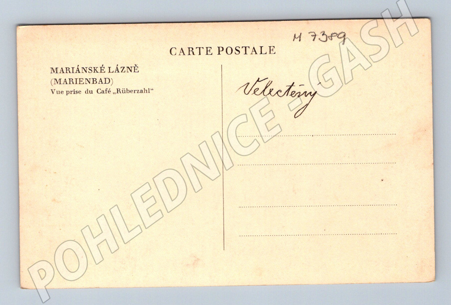 Pohlednice Mariánské Lázně panorama do 1950 (M7389)