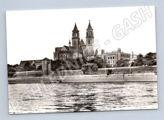 Pohlednice Magdeburg dóm Echt Foto (M7438)