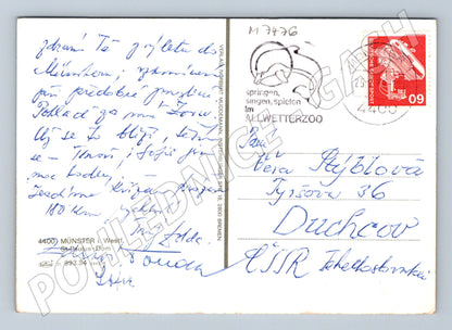 Pohlednice Münster St Paulus Dom 1974 (M7476)