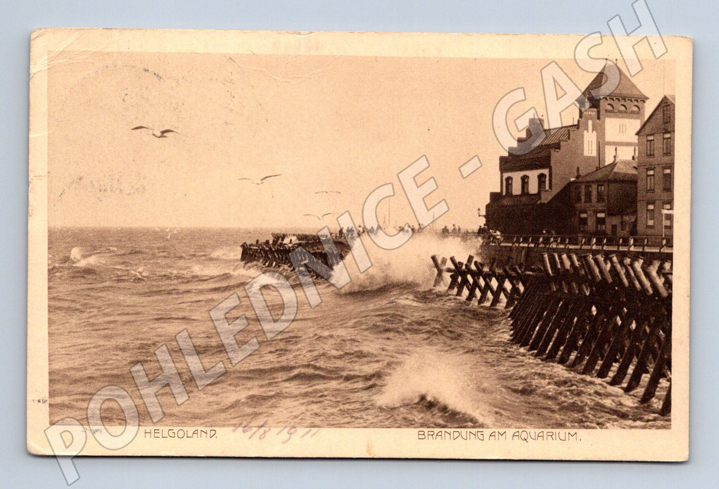 Pohlednice Helgoland příboj u akvária 1911 (M7549)