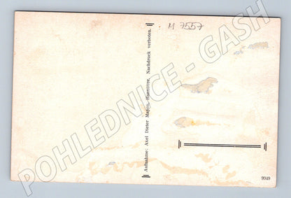 Postcard Hannover Herrenhausen Island Garden (M7557)
