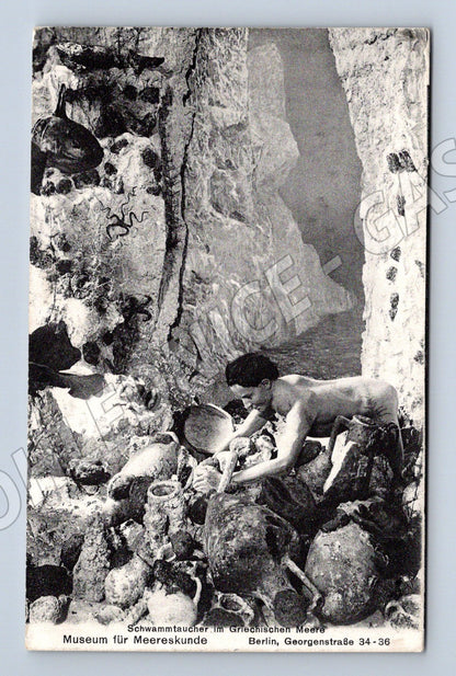 Pohlednice podmořský potápěč amfory muzeum (M7568)