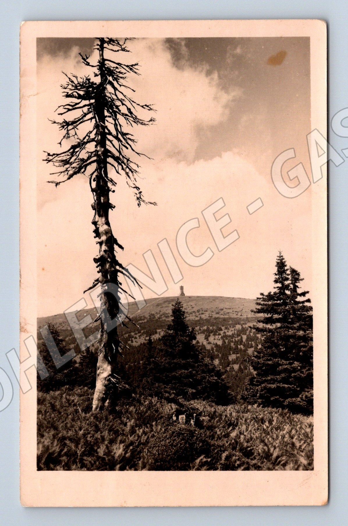 Pohlednice Jeseníky vyhlídka Sudety 1940 (M7586)