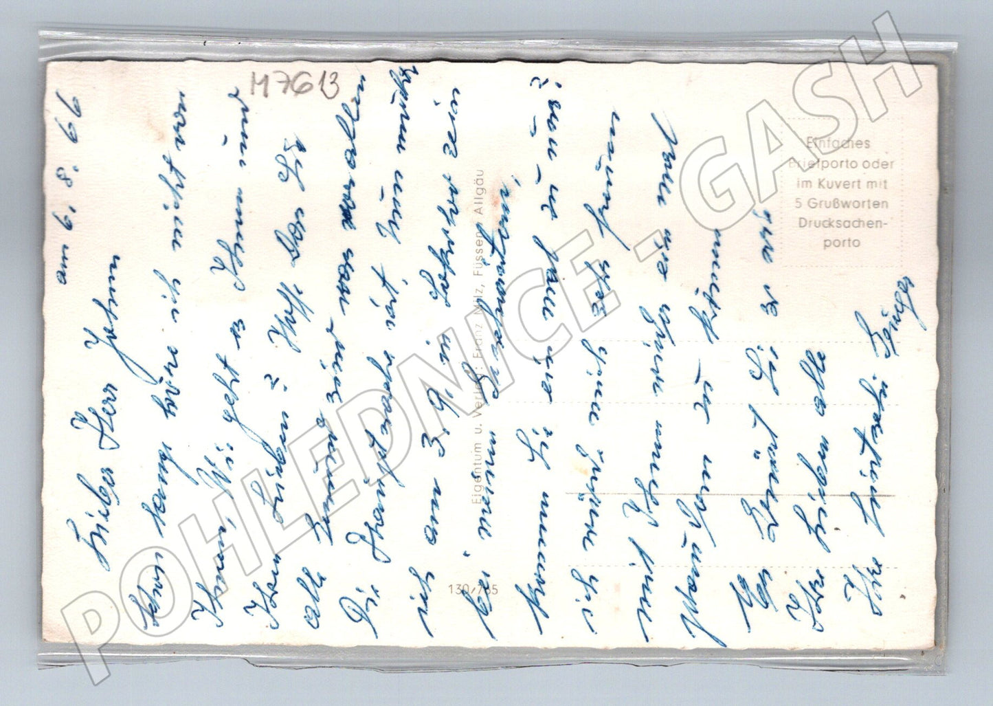 Pohlednice Schongau pohlednice s pravou protěží Edelweiß (M7613)