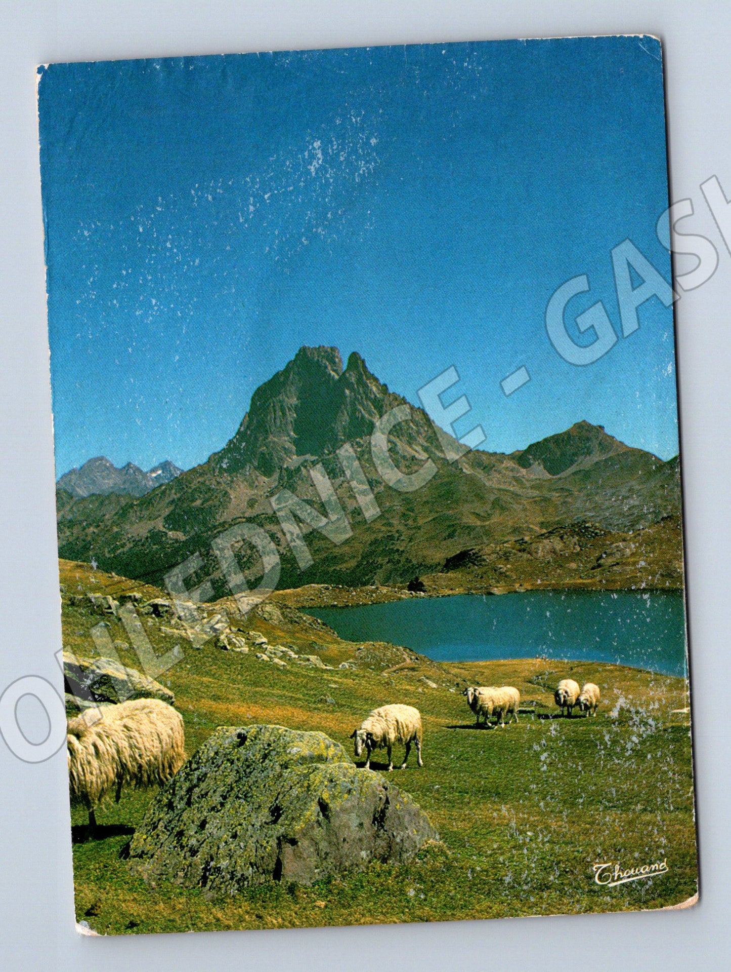 Postcard Pyrenees Pic du Midi d'Ossau lake Ayous sheep (M7657)