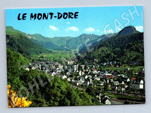 Postcard Le Mont Dore panorama of the city and mountains (M7677)