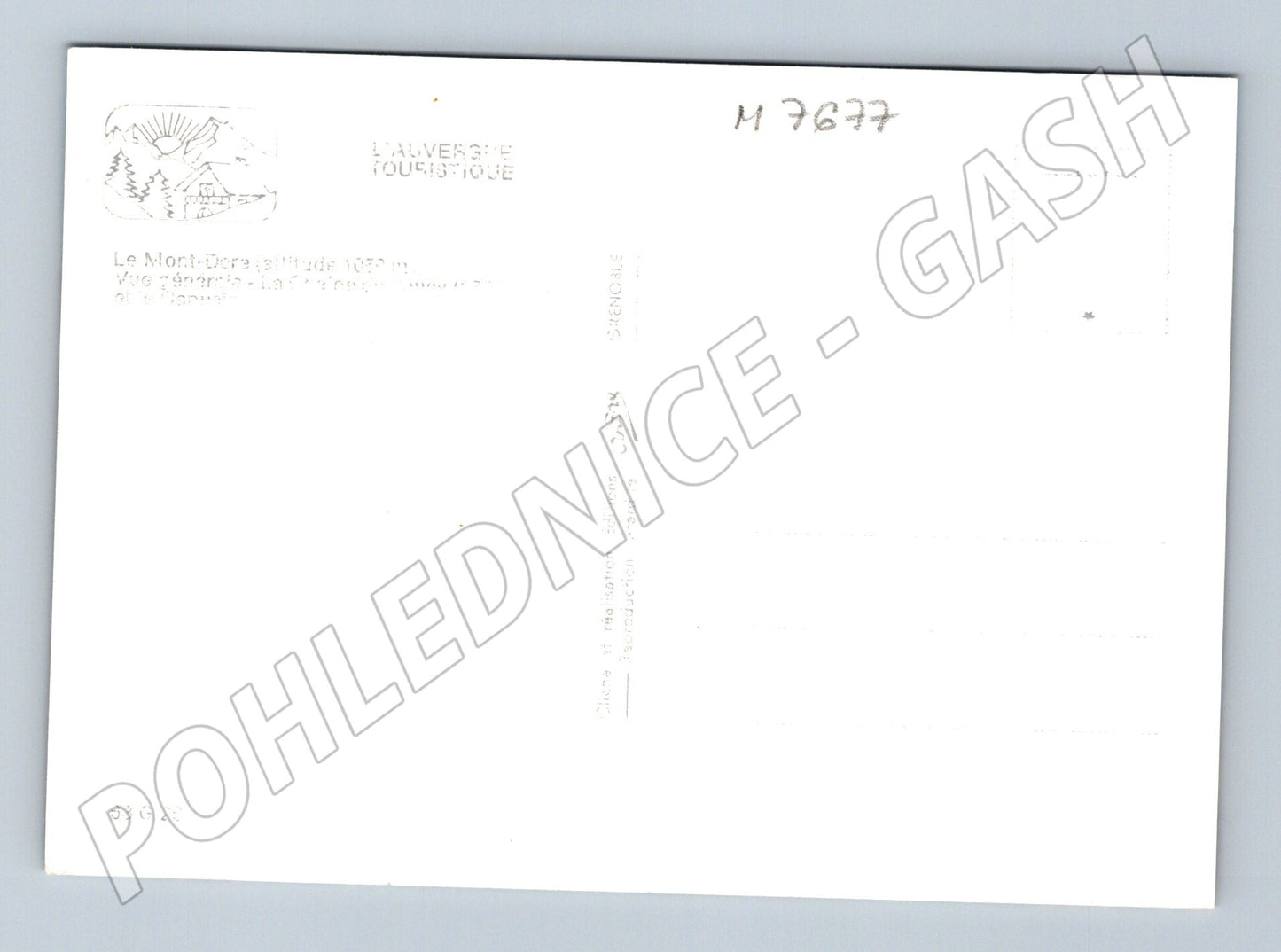 Postcard Le Mont Dore panorama of the city and mountains (M7677)