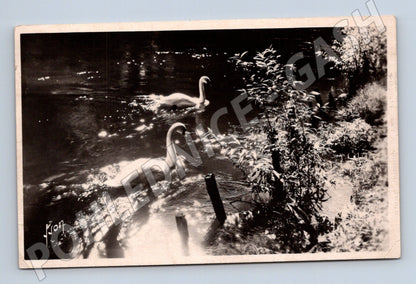 Pohlednice Châlons sur Marne labutě 1948 Francie (M7765)