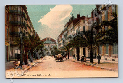 Pohlednice Toulon Avenue Colbert barevná pohlednice (M7784)
