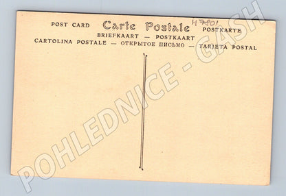 Pohlednice Avignon Palais des Papes historická (M7801)