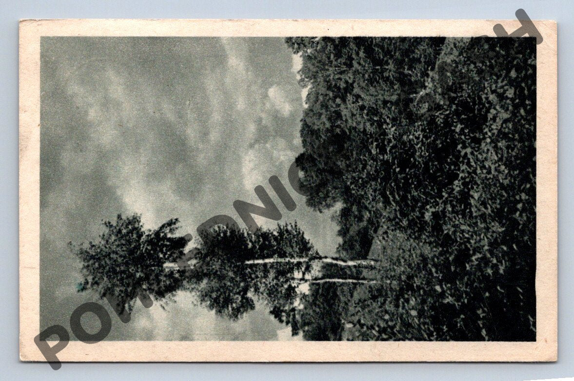 Pohlednice strom Československo 1947 (M803)