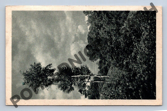 Pohlednice strom Československo 1947 (M803)