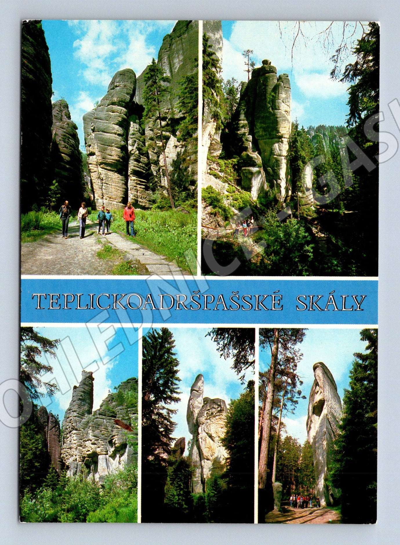 Postcard Teplice Adršpach Rocks large format used (M8045)