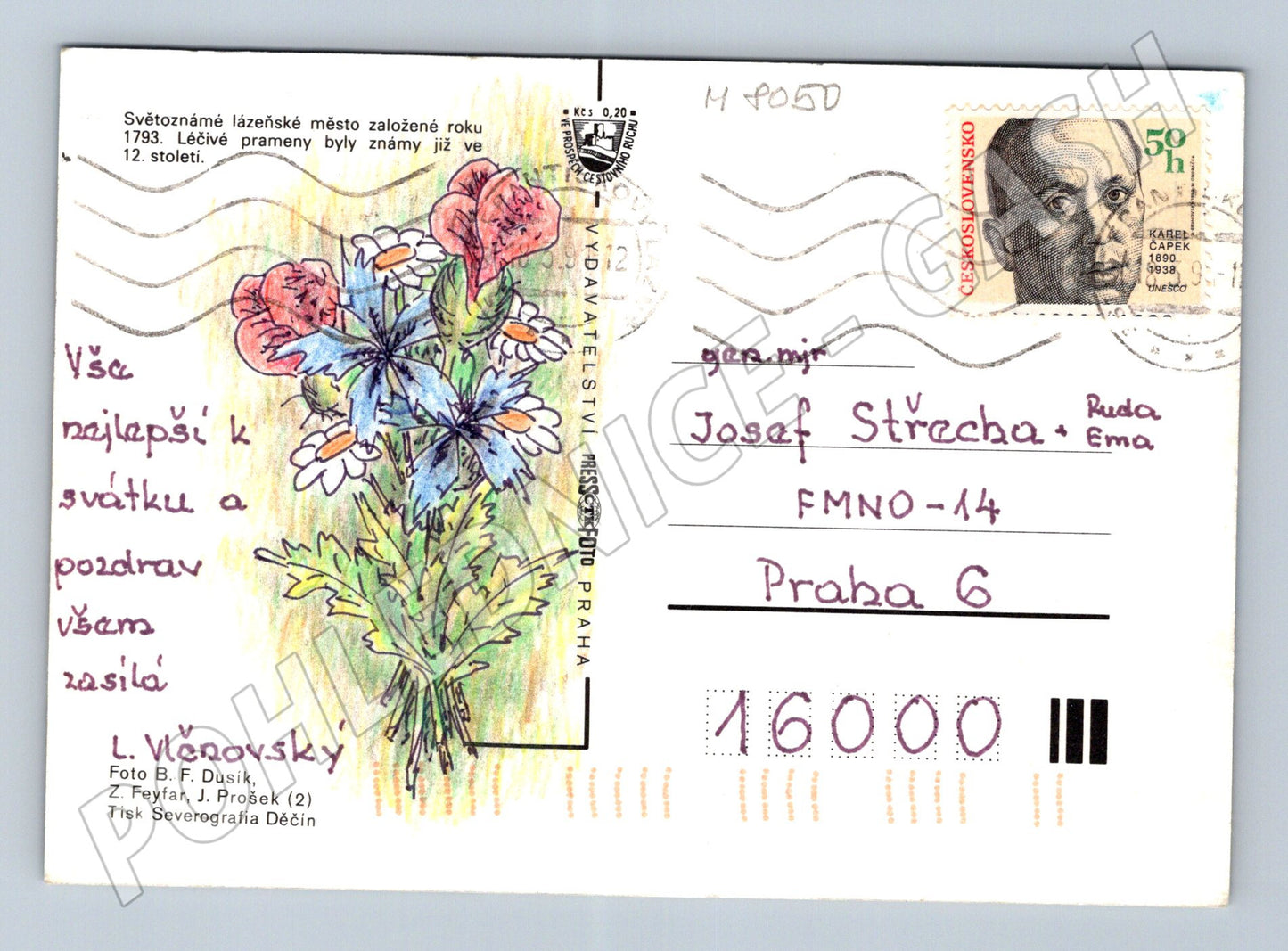 Postcard Františkovy Lázně colored historical sent (M8050)