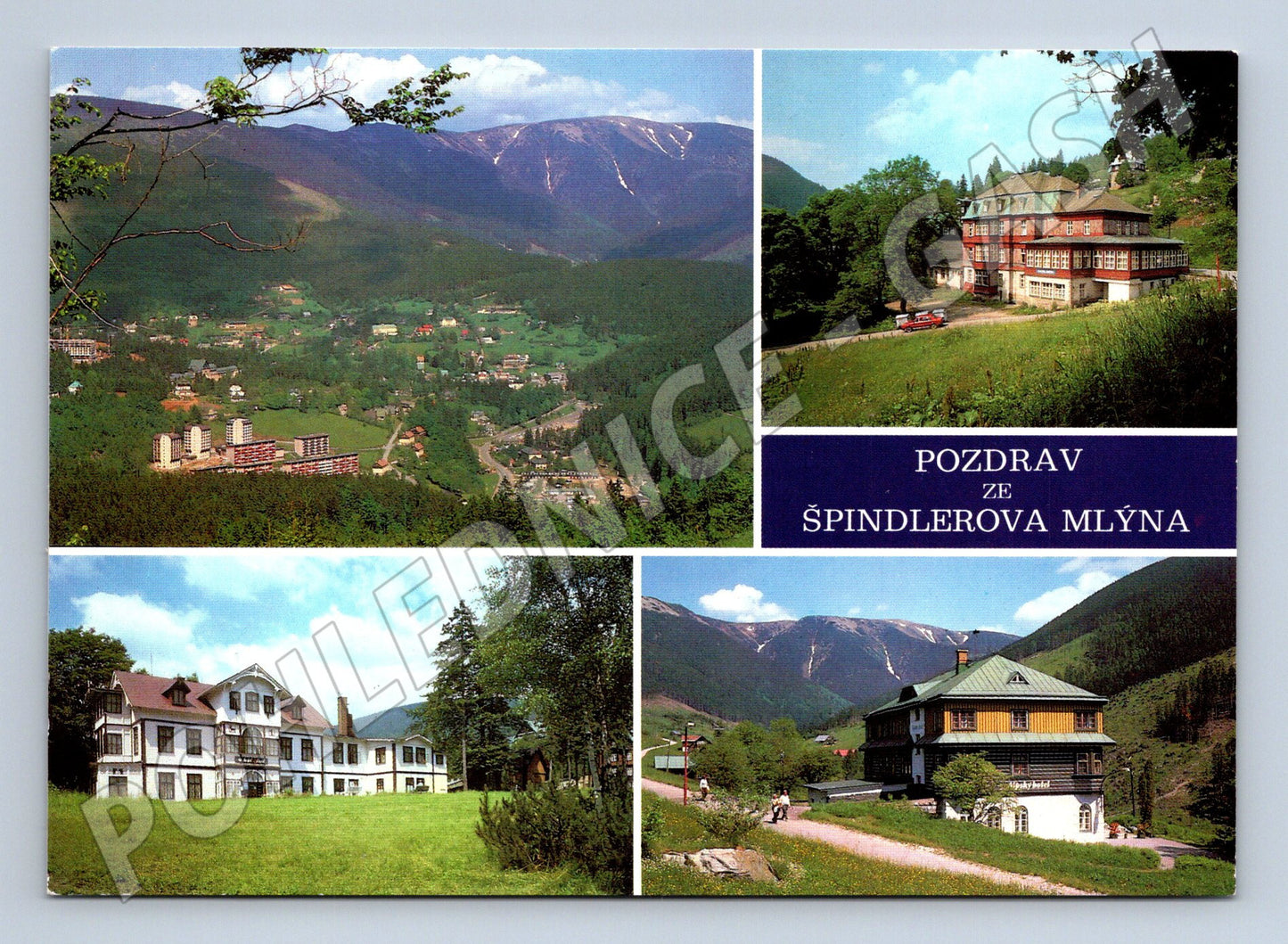 Postcard Greetings from Špindlerův Mlýn multi-view (M8128)