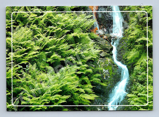 Pohlednice Modrý potok Krkonoše 1978 prošlá (M8277)