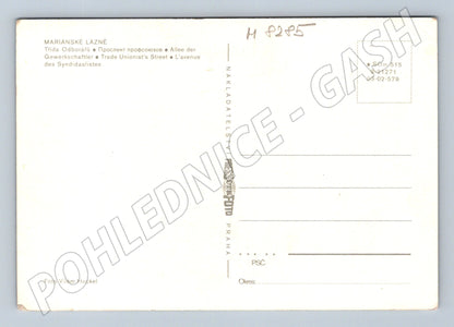 Pohlednice Mariánské Lázně Palace Hotel historická (M8285)