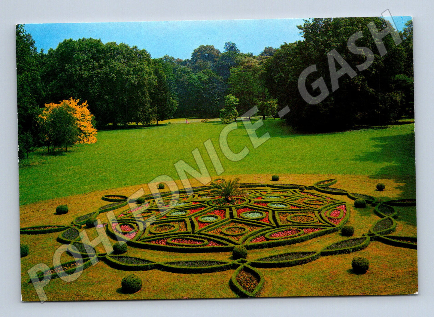 Pohlednice Kroměříž Podzámecká zahrada květiny (M8291)