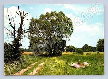 Pohlednice Česká krajina velký formát Orbis Praha (M8295)