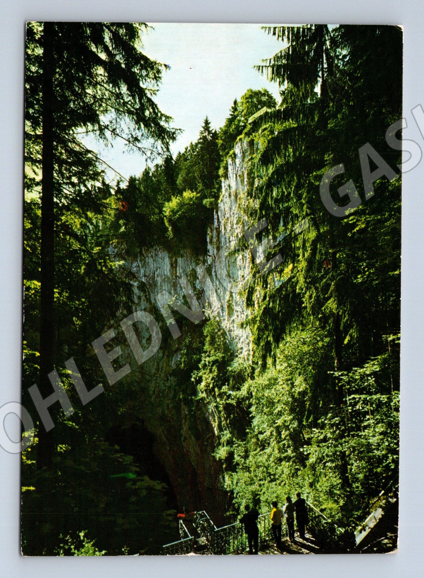 Pohlednice Propast Macocha Moravský kras 1952 (M8296)